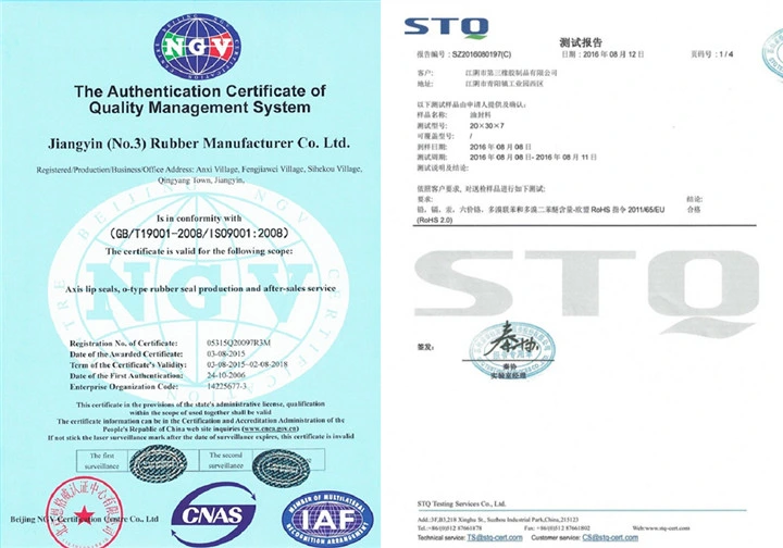 Standard Size FKM 70 O-Rings for Static and Dynamic Seals